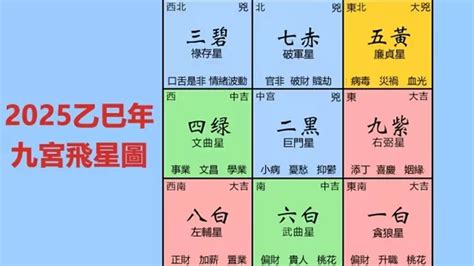 二宮飛入九宮|【九宮飛星2025】九宮飛星2025佈局指南：逐吉避。